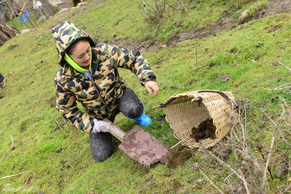 刘云活动照片
 刘云高清写真_刘云高清剧照