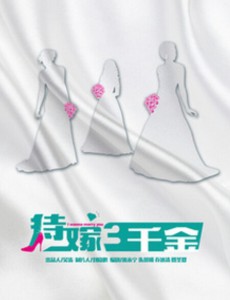 追婚记