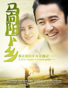 马向阳下乡记