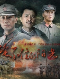 掩不住的阳光