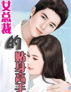 女总裁的贴身高手