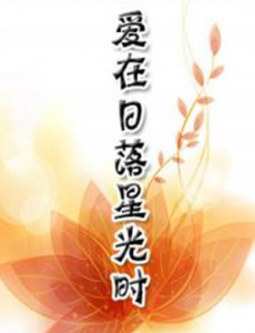 爱在日落星光时