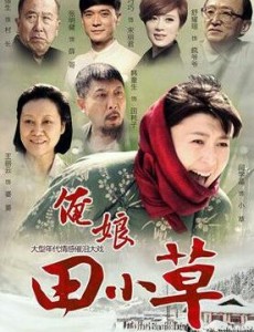 俺娘田小草