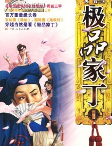 极品家丁