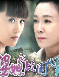 婆媳的战国时代