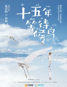 十五年等待候鸟