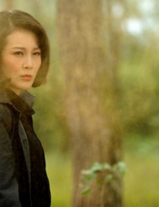 何淑宜