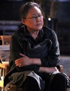 陆老太角色介绍