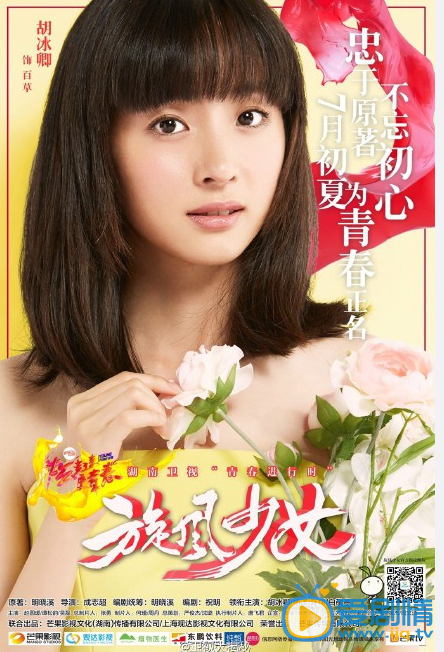 电视剧旋风少女演员剧照