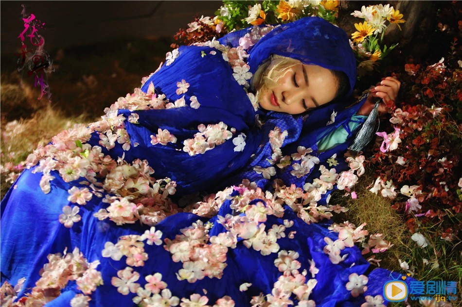 电视剧花千骨演员剧照