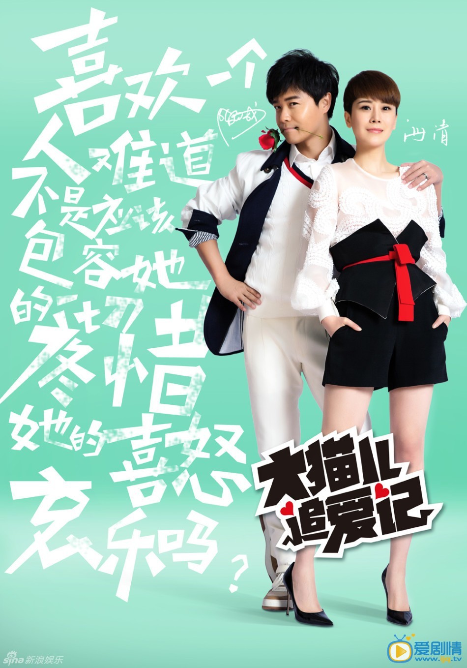 电视剧大猫儿追爱记演员剧照