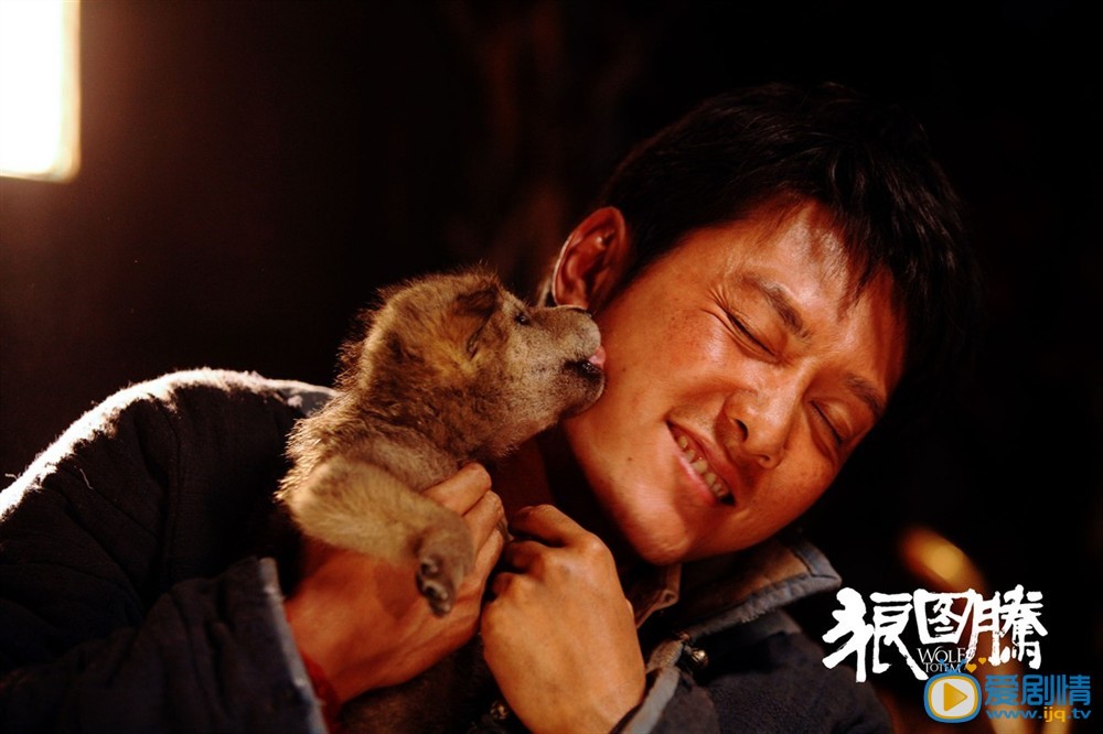 电影狼图腾演员剧照