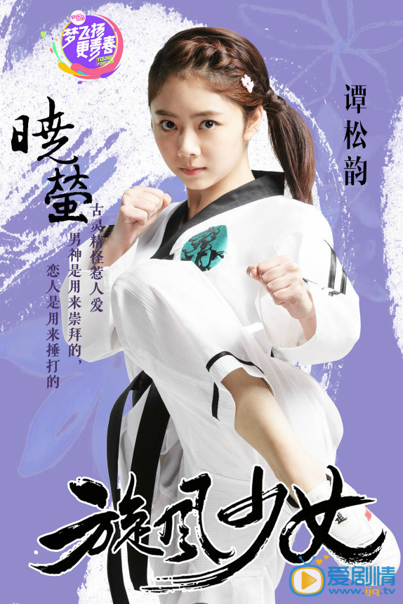 电视剧旋风少女演员剧照