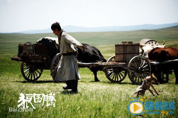 狼图腾杨克剧照 狼图腾剧照0