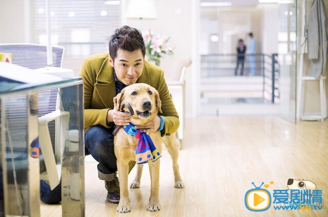电视剧神犬小七演员剧照