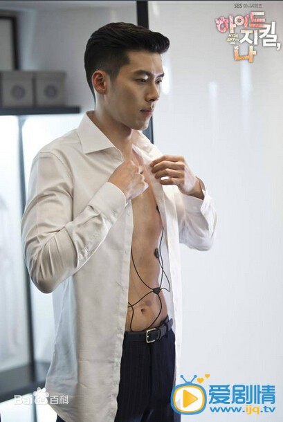 电视剧海德哲基尔与我演员剧照