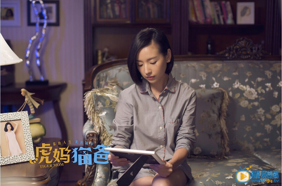 电视剧虎妈猫爸演员剧照