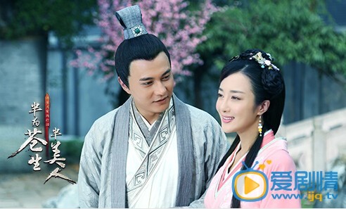 电视剧半为苍生半美人演员剧照