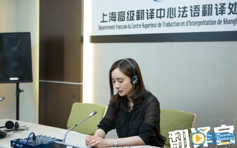 电视剧翻译官演员剧照