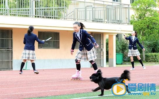 电视剧爸爸是条龙演员剧照