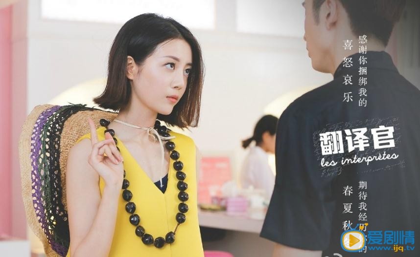 电视剧翻译官演员剧照