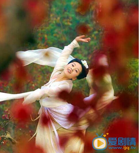 电视剧东宫演员剧照