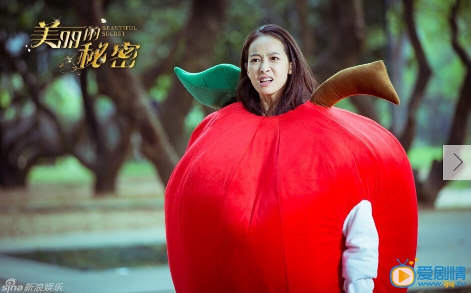 电视剧美丽的秘密演员剧照
