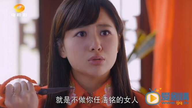 电视剧戴流苏耳环的少女演员剧照