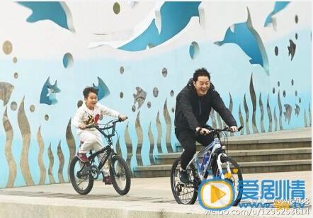 电视剧熊爸熊孩子演员剧照
