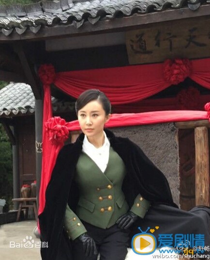 电视剧心如铁演员剧照