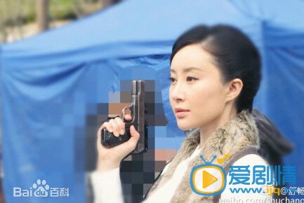 电视剧心如铁演员剧照