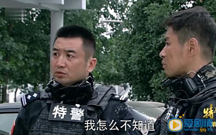 电视剧特警力量演员剧照