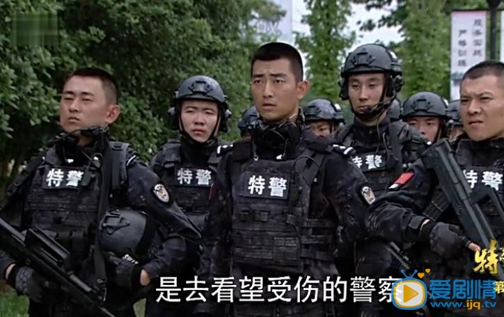 电视剧特警力量演员剧照