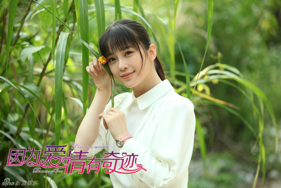 电视剧因为爱情有奇迹演员剧照