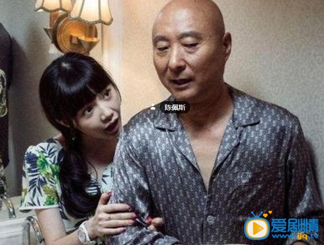 电视剧好大一个家演员剧照