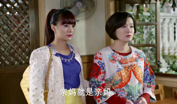 电视剧把爱带回家演员剧照