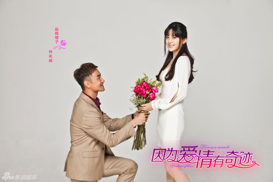 电视剧因为爱情有奇迹演员剧照