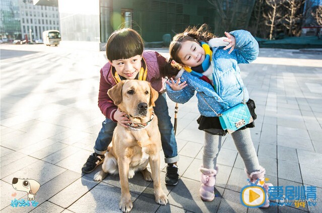 神犬小七丫丫剧照 神犬小七剧照1