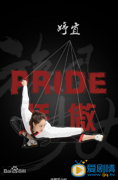 电视剧旋风少女演员剧照
