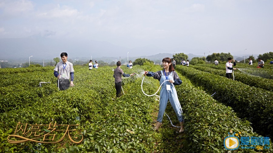 闪亮茗天杜心羽剧照 闪亮茗天剧照0