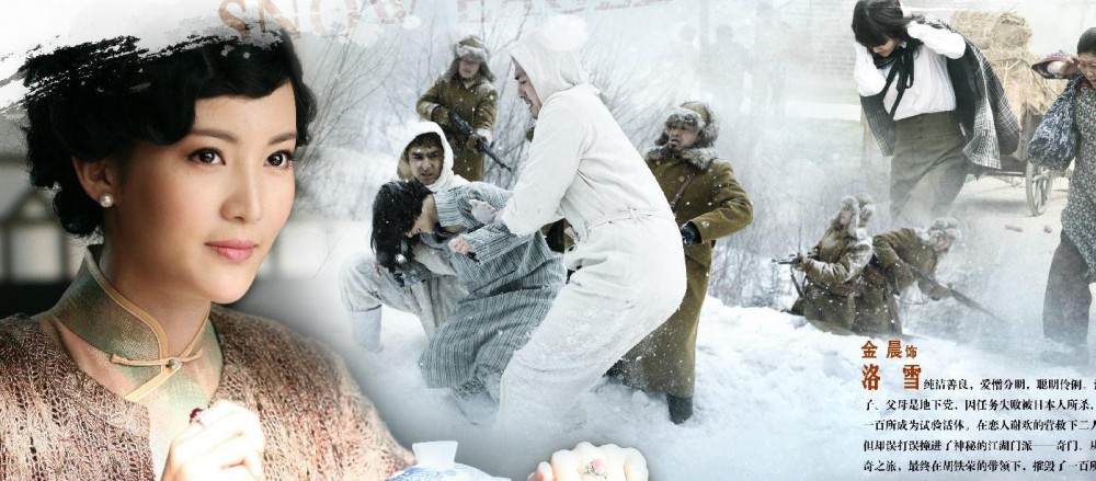 电视剧雪鹰演员剧照