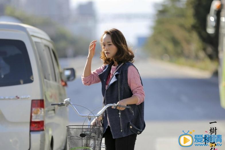 电视剧一树桃花开演员剧照