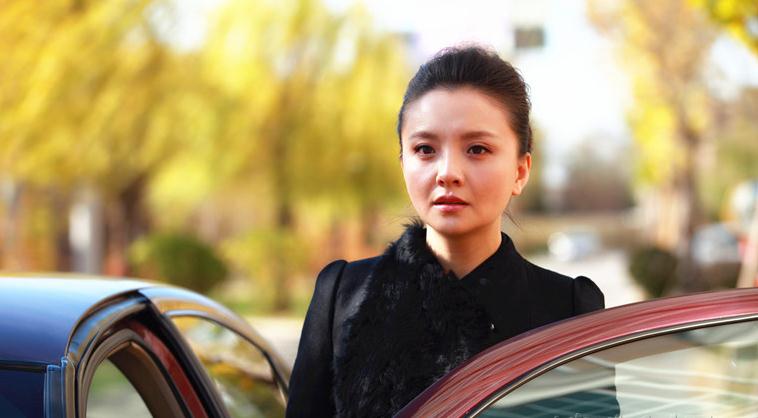 电视剧婚战演员剧照