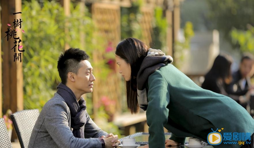 一树桃花开盛放剧照 一树桃花开剧照1