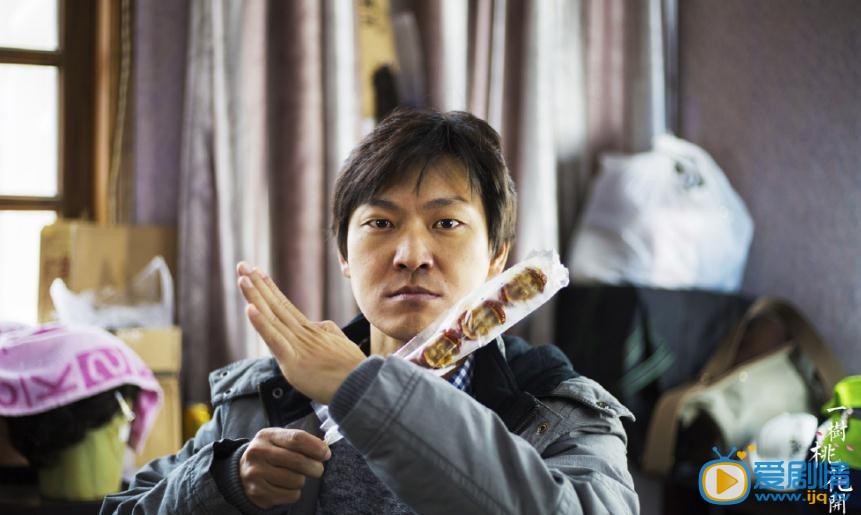 电视剧一树桃花开演员剧照