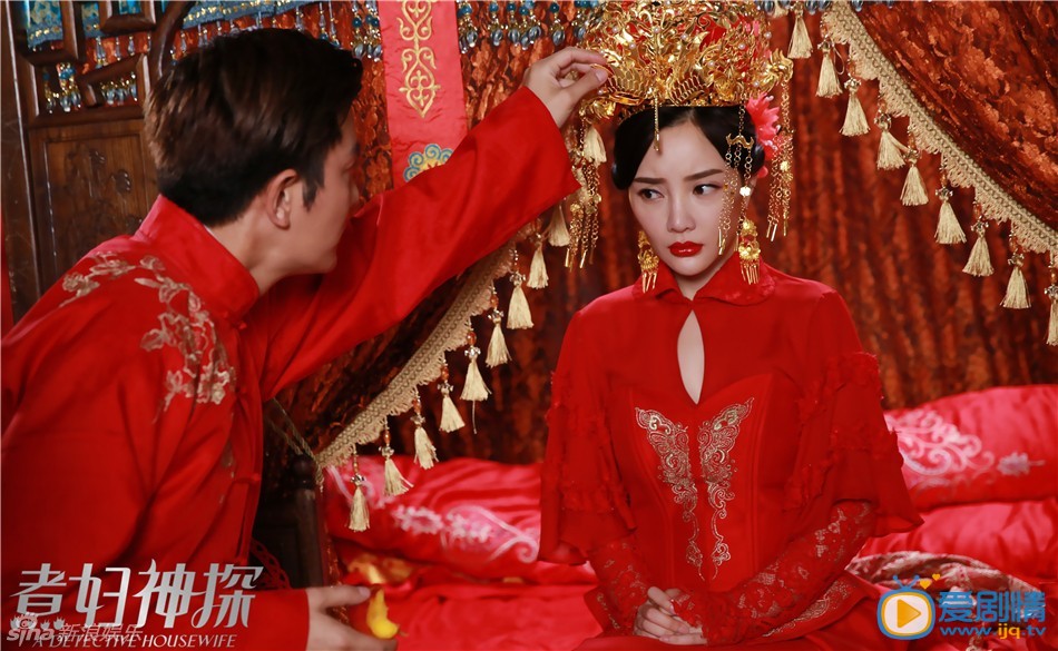 电视剧煮妇神探演员剧照