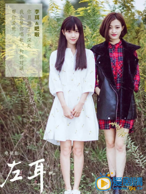电视剧左耳演员剧照