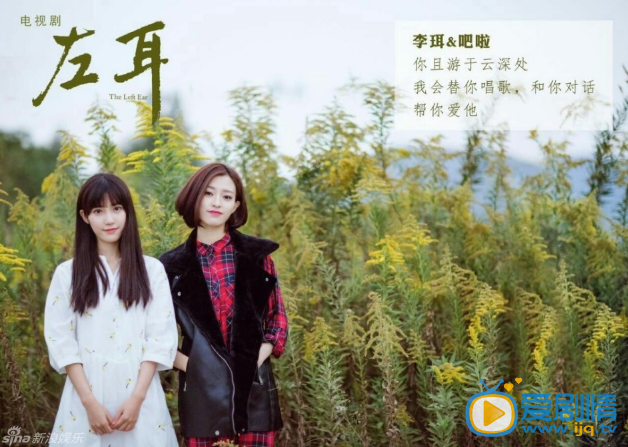 电视剧左耳演员剧照