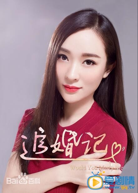 追婚记白芍剧照 追婚记剧照0