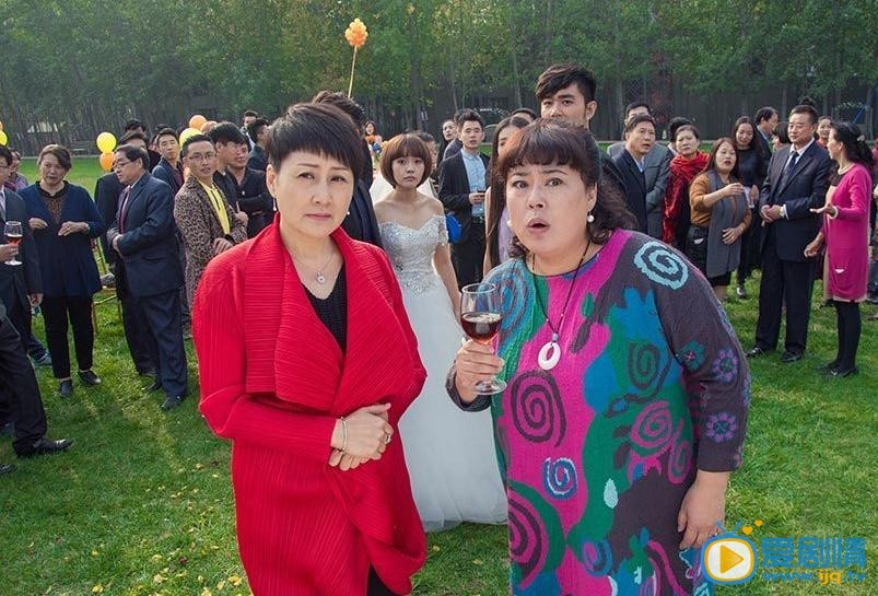 电视剧功夫婆媳演员剧照